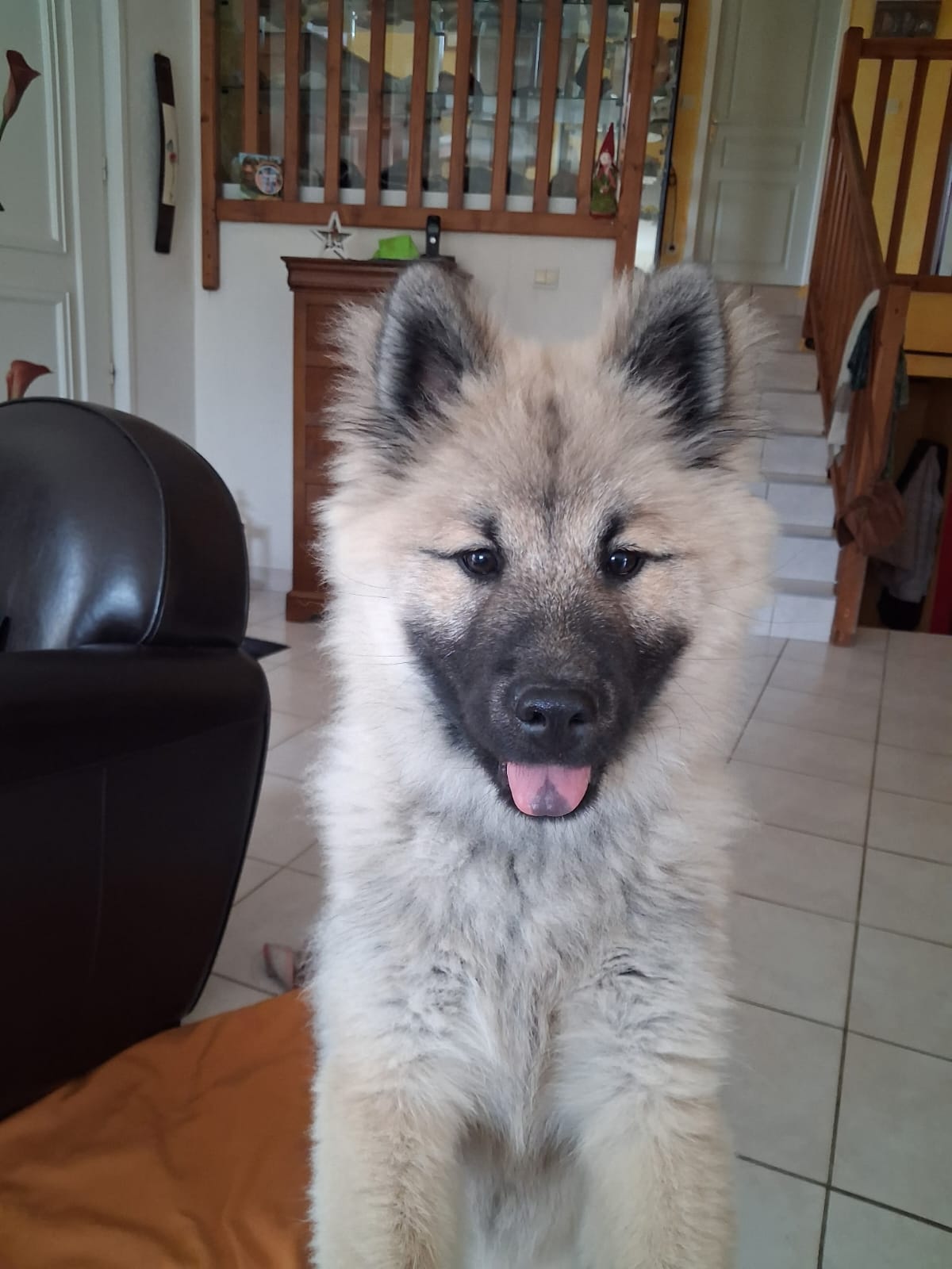 WhatsApp Image 2026-0b'y2-20 at 09.43.33.jpeg